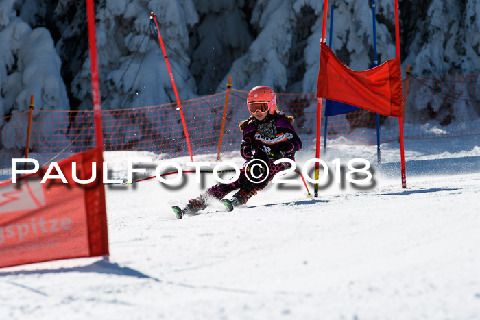 Ziener Cup WF, Finale, Quali + Parallelslalom, 24.03.2018
