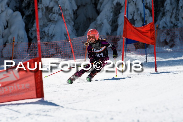 Ziener Cup WF, Finale, Quali + Parallelslalom, 24.03.2018