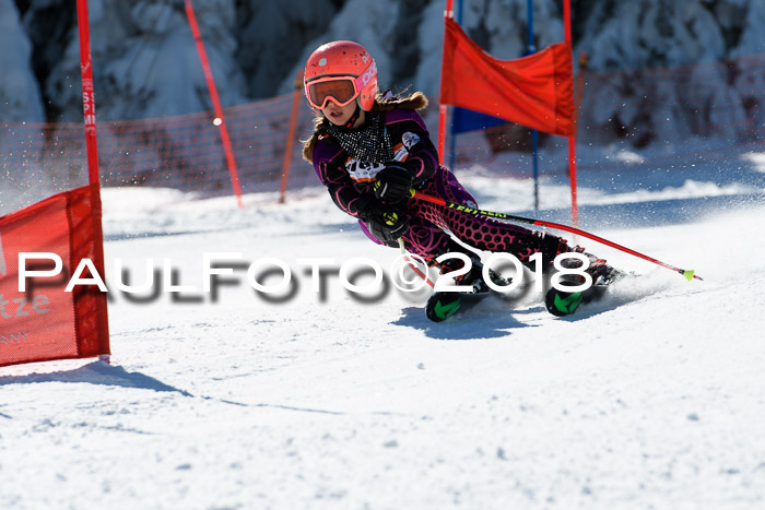 Ziener Cup WF, Finale, Quali + Parallelslalom, 24.03.2018