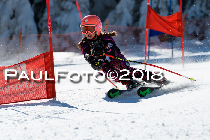 Ziener Cup WF, Finale, Quali + Parallelslalom, 24.03.2018