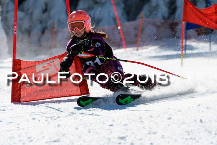 Ziener Cup WF, Finale, Quali + Parallelslalom, 24.03.2018