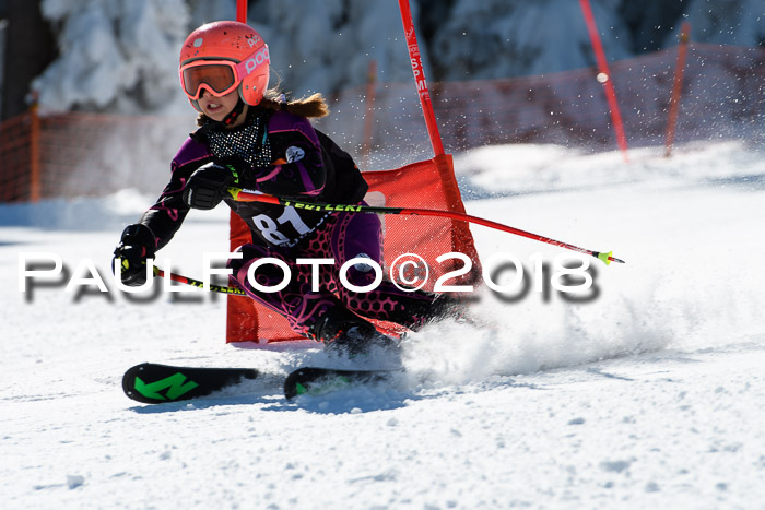 Ziener Cup WF, Finale, Quali + Parallelslalom, 24.03.2018