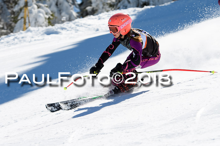 Ziener Cup WF, Finale, Quali + Parallelslalom, 24.03.2018