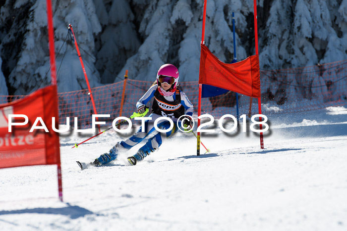 Ziener Cup WF, Finale, Quali + Parallelslalom, 24.03.2018