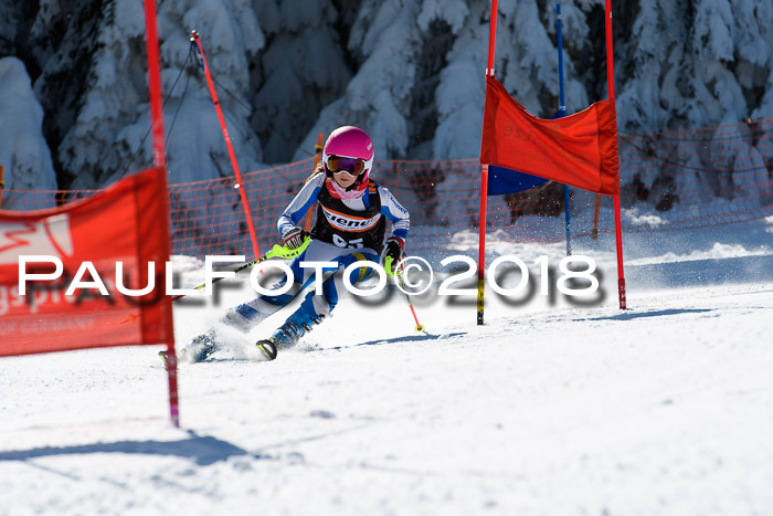 Ziener Cup WF, Finale, Quali + Parallelslalom, 24.03.2018