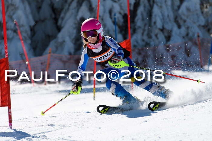 Ziener Cup WF, Finale, Quali + Parallelslalom, 24.03.2018