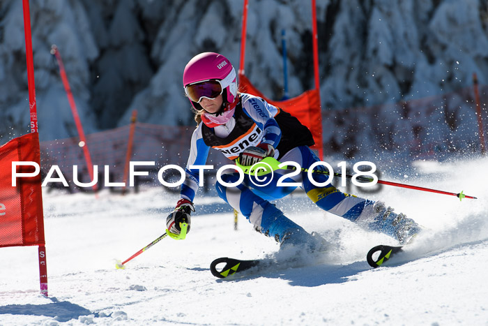 Ziener Cup WF, Finale, Quali + Parallelslalom, 24.03.2018