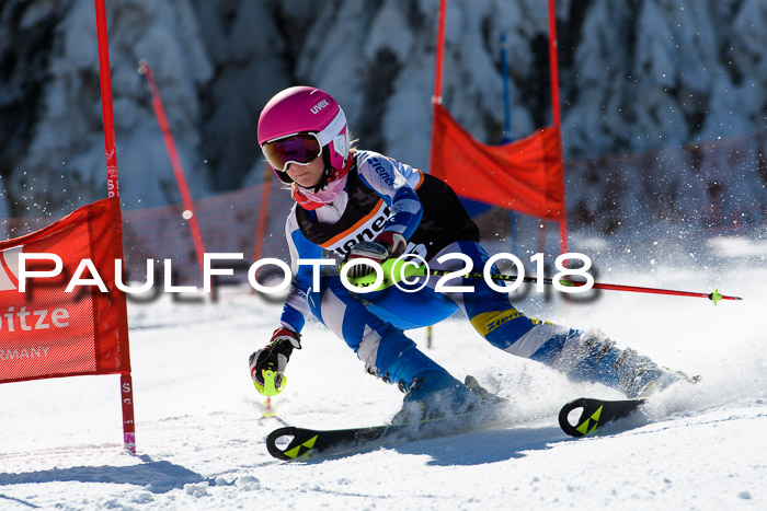 Ziener Cup WF, Finale, Quali + Parallelslalom, 24.03.2018