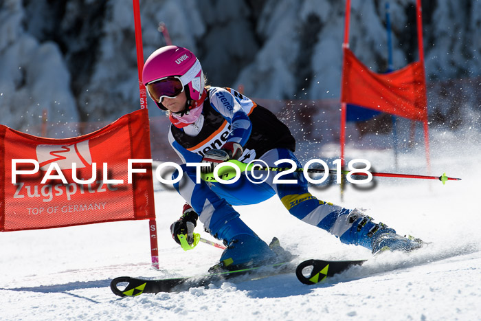 Ziener Cup WF, Finale, Quali + Parallelslalom, 24.03.2018