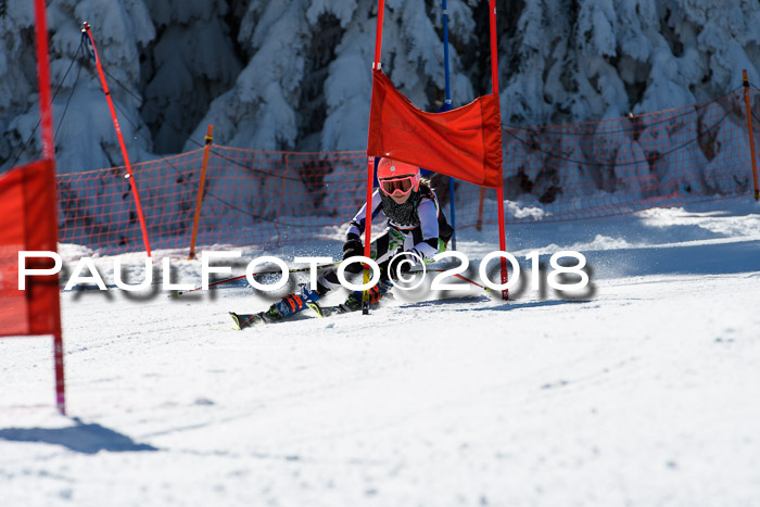 Ziener Cup WF, Finale, Quali + Parallelslalom, 24.03.2018