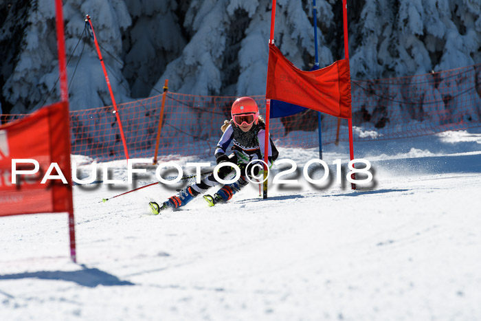 Ziener Cup WF, Finale, Quali + Parallelslalom, 24.03.2018