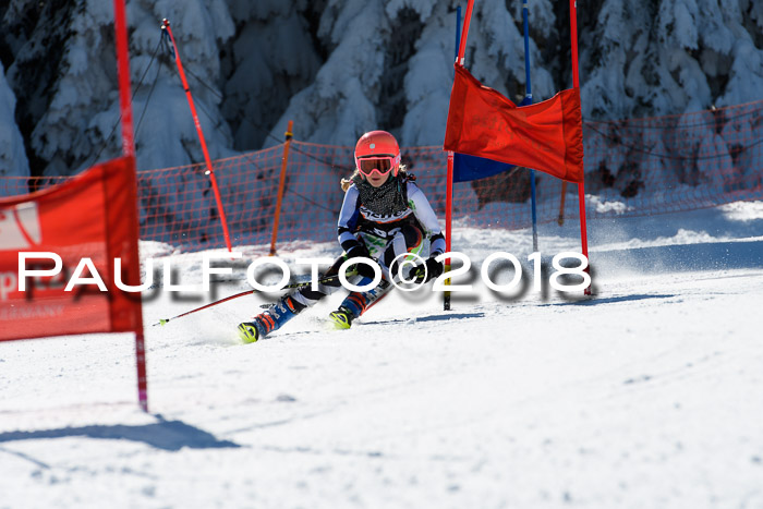 Ziener Cup WF, Finale, Quali + Parallelslalom, 24.03.2018