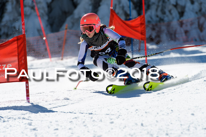 Ziener Cup WF, Finale, Quali + Parallelslalom, 24.03.2018