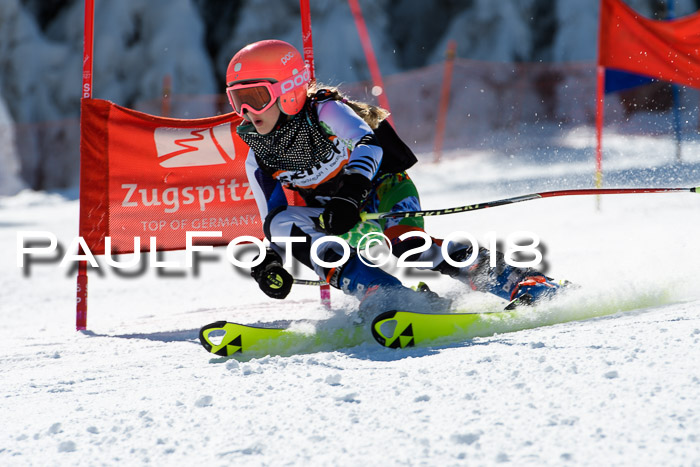 Ziener Cup WF, Finale, Quali + Parallelslalom, 24.03.2018