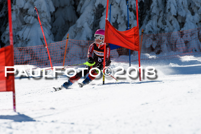 Ziener Cup WF, Finale, Quali + Parallelslalom, 24.03.2018