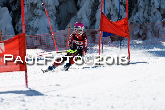 Ziener Cup WF, Finale, Quali + Parallelslalom, 24.03.2018