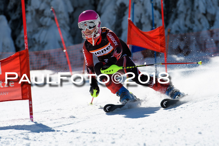 Ziener Cup WF, Finale, Quali + Parallelslalom, 24.03.2018