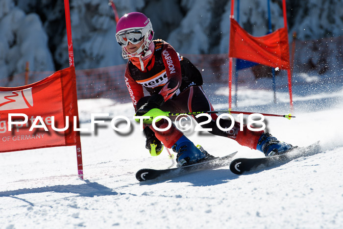 Ziener Cup WF, Finale, Quali + Parallelslalom, 24.03.2018