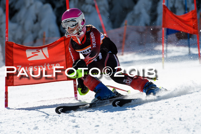 Ziener Cup WF, Finale, Quali + Parallelslalom, 24.03.2018