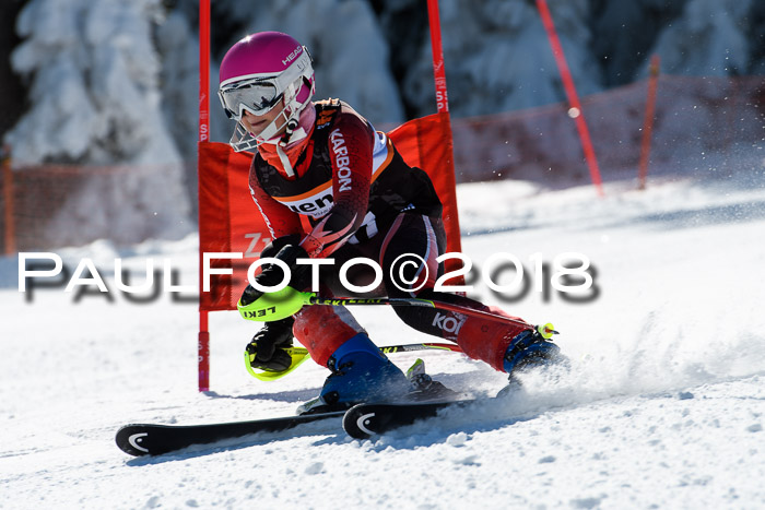 Ziener Cup WF, Finale, Quali + Parallelslalom, 24.03.2018