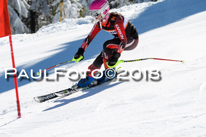 Ziener Cup WF, Finale, Quali + Parallelslalom, 24.03.2018