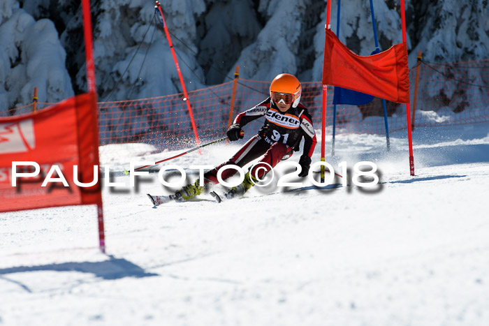 Ziener Cup WF, Finale, Quali + Parallelslalom, 24.03.2018
