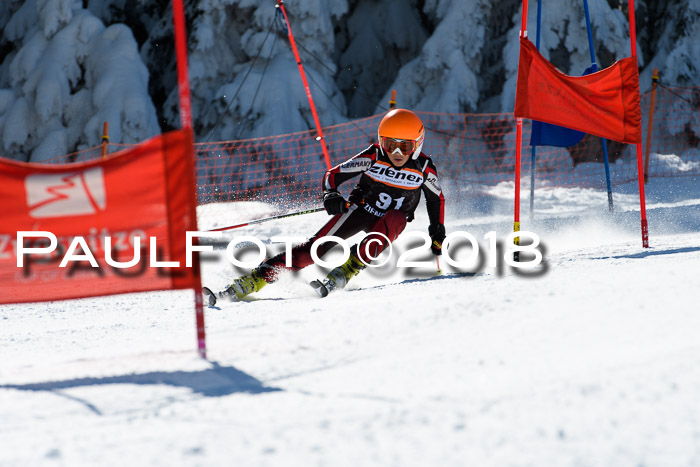 Ziener Cup WF, Finale, Quali + Parallelslalom, 24.03.2018