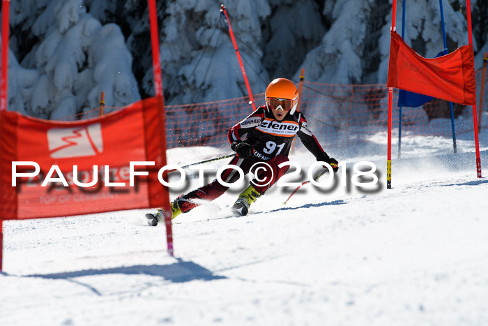 Ziener Cup WF, Finale, Quali + Parallelslalom, 24.03.2018