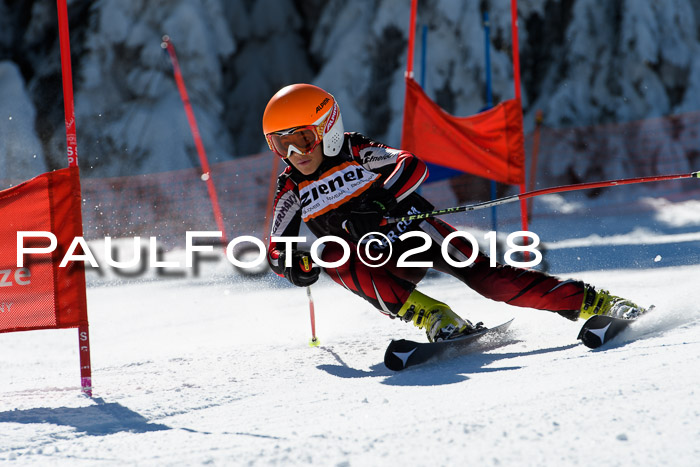 Ziener Cup WF, Finale, Quali + Parallelslalom, 24.03.2018