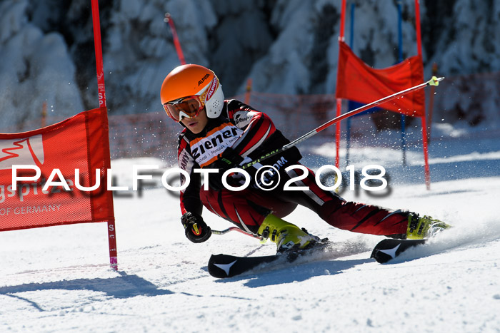 Ziener Cup WF, Finale, Quali + Parallelslalom, 24.03.2018