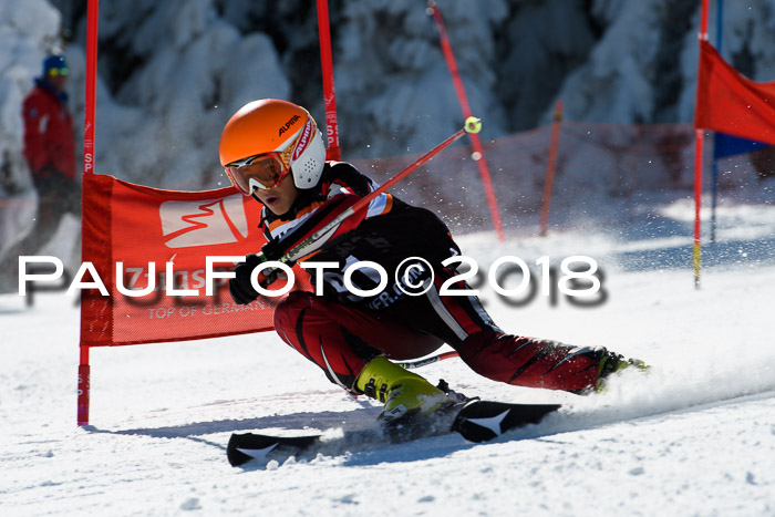 Ziener Cup WF, Finale, Quali + Parallelslalom, 24.03.2018