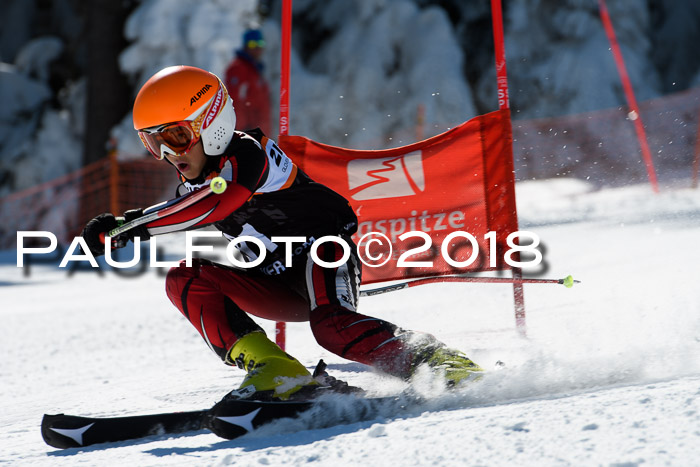 Ziener Cup WF, Finale, Quali + Parallelslalom, 24.03.2018