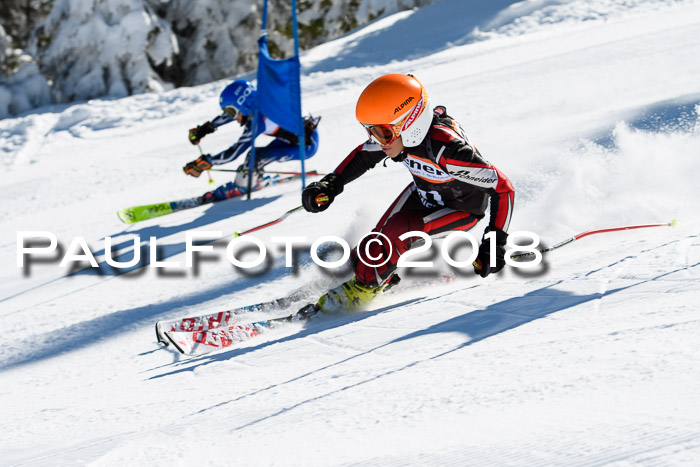 Ziener Cup WF, Finale, Quali + Parallelslalom, 24.03.2018