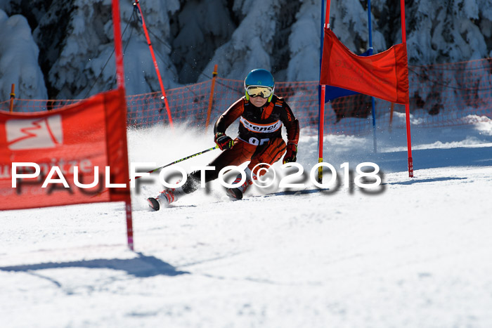 Ziener Cup WF, Finale, Quali + Parallelslalom, 24.03.2018