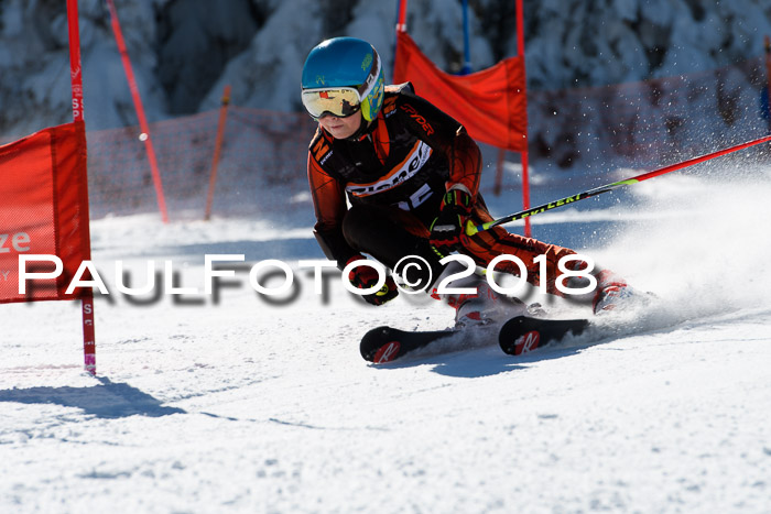 Ziener Cup WF, Finale, Quali + Parallelslalom, 24.03.2018