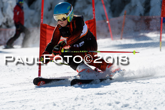 Ziener Cup WF, Finale, Quali + Parallelslalom, 24.03.2018