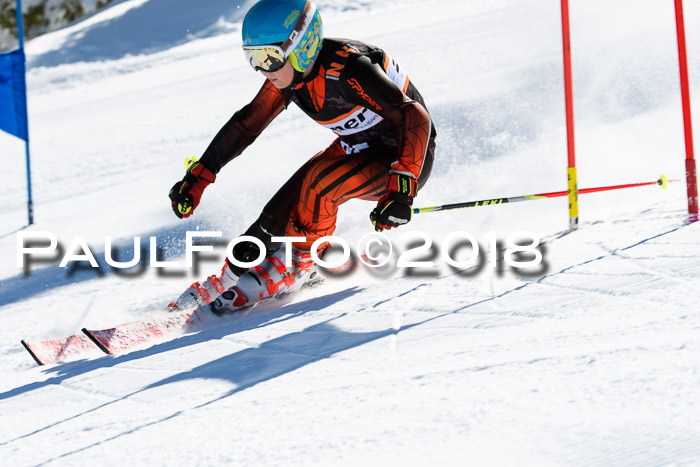 Ziener Cup WF, Finale, Quali + Parallelslalom, 24.03.2018