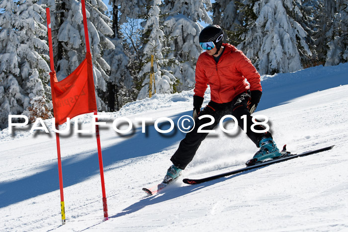 Ziener Cup WF, Finale, Quali + Parallelslalom, 24.03.2018