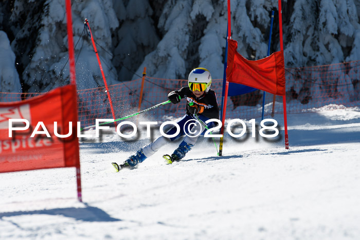Ziener Cup WF, Finale, Quali + Parallelslalom, 24.03.2018