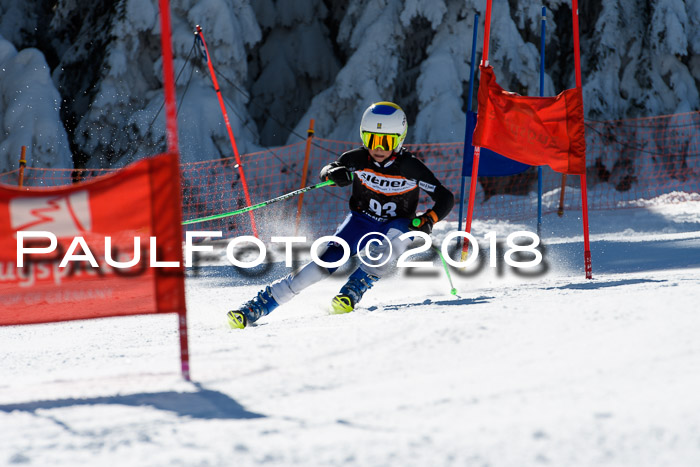 Ziener Cup WF, Finale, Quali + Parallelslalom, 24.03.2018