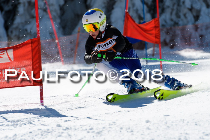 Ziener Cup WF, Finale, Quali + Parallelslalom, 24.03.2018