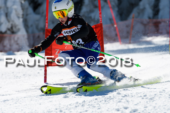 Ziener Cup WF, Finale, Quali + Parallelslalom, 24.03.2018