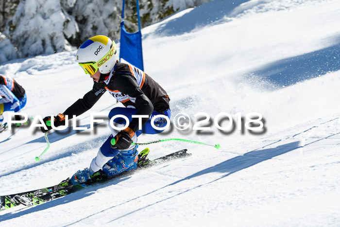 Ziener Cup WF, Finale, Quali + Parallelslalom, 24.03.2018