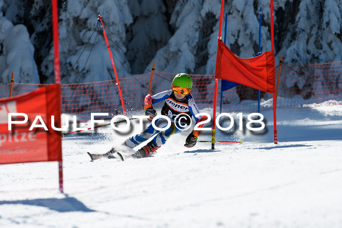 Ziener Cup WF, Finale, Quali + Parallelslalom, 24.03.2018