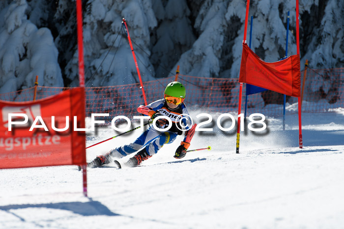 Ziener Cup WF, Finale, Quali + Parallelslalom, 24.03.2018