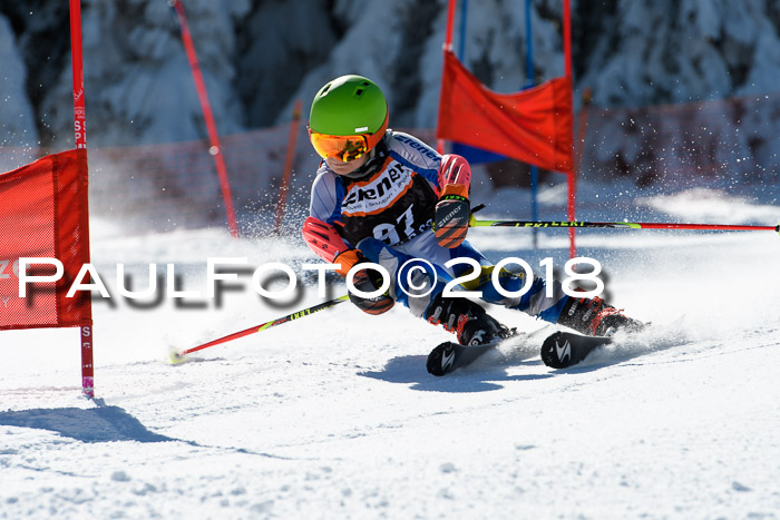 Ziener Cup WF, Finale, Quali + Parallelslalom, 24.03.2018