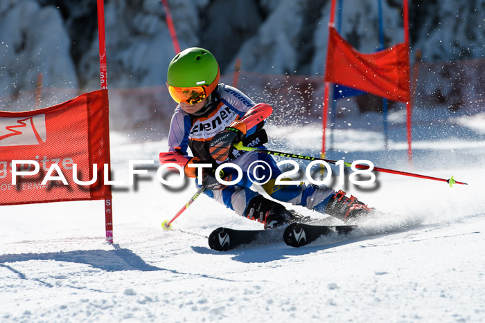 Ziener Cup WF, Finale, Quali + Parallelslalom, 24.03.2018
