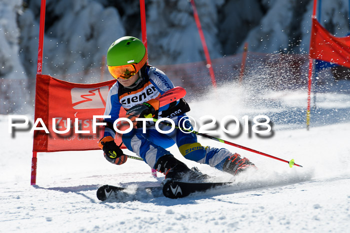 Ziener Cup WF, Finale, Quali + Parallelslalom, 24.03.2018