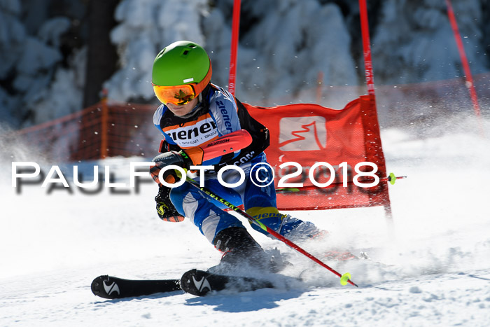 Ziener Cup WF, Finale, Quali + Parallelslalom, 24.03.2018