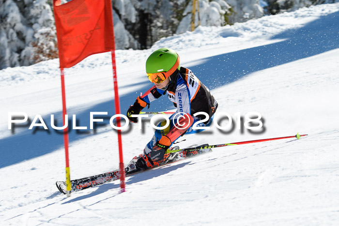 Ziener Cup WF, Finale, Quali + Parallelslalom, 24.03.2018